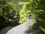 Village Hinohara�̎ʐ^4