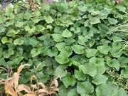 ���j�o�[�T���A�O���J���`���[�T�|�[�g�̎ʐ^4