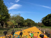 �������S'ISM�̎ʐ^4