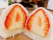 ��ʎВc�@�l �O�ؒ��ό�����̎ʐ^3