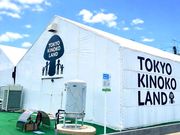 �������̂������h�̎ʐ^2