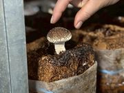 �������̂������h�̎ʐ^4