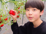 �؂€�ό��_���̎ʐ^3