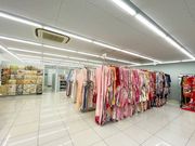 ���������^��Kiyomi ������X�̎ʐ^2