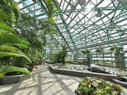 ���Îs�������A�������݂��̐X�̎ʐ^3