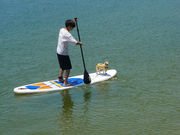 �A�N�A�}���������̎ʐ^4