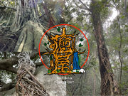 �l�C�`���[�K�C�h�����̎ʐ^2