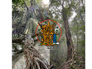 �l�C�`���[�K�C�h�����̎ʐ^2