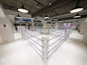 �L�b�N�{�N�V���O�W�� ���t�B�i�X�a�J�{�X�̎ʐ^2