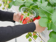 �����݂̂肢�����_���̎ʐ^4