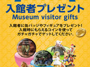 �C�m���t�B�M���A�~���[�W�A���~���C�U����̎ʐ^4