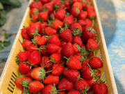 �ɂ������킭�킭���̎ʐ^4