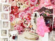 �h���@�O�N�C�[���X�N�[��Switch�I�̎ʐ^3