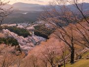 �g��A�E�g�h�A�N���uUP!�̎ʐ^3