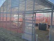 ���������z�C���̎ʐ^2