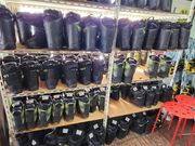 �����^��KEN �I�N�g�l�X�̎ʐ^4