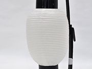 ������Ѓ��}�O�`�̎ʐ^3