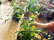 �ԂƖ���Mint�̎ʐ^3