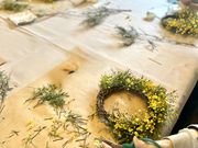 �ԂƖ���Mint�̎ʐ^4