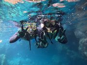 sunny bloom�̎ʐ^3