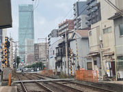 �؋����̎ʐ^4