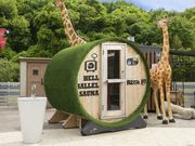 �Ђ܂��L�b�`���̎ʐ^3