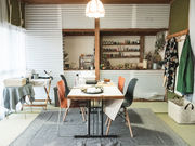 matoricaria�̎ʐ^3