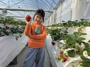 �X�̂������̎ʐ^4