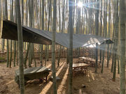 �|�эL��̎ʐ^3