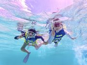 vingt quatre �{�Ó��̎ʐ^4