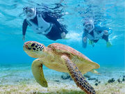 vingt quatre �{�Ó��̎ʐ^2