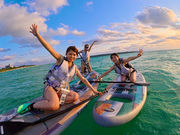 vingt quatre �{�Ó��̎ʐ^4