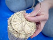 �c�A�[�����N�����̎ʐ^4