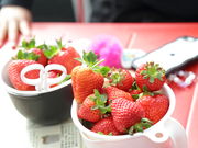 �ɂ����g�g�x���[�t�@�[���̎ʐ^3