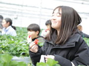 �ɂ����g�g�x���[�t�@�[���̎ʐ^2