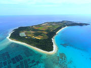 �Ì����t�@�[���̎ʐ^3