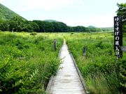 �͂�Ȏ��R�N���u�̎ʐ^3