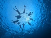 scuba&skindiving +YOU�̎ʐ^3