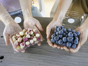 �����A�O���p�[�N����̎ʐ^2