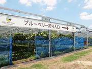 �����A�O���p�[�N����̎ʐ^3