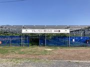 �����A�O���p�[�N����̎ʐ^2