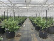 �����A�O���p�[�N����̎ʐ^3