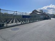 ���܂̃u���[�x���[�̎ʐ^2