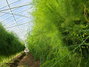 �㉺���F�_���̎ʐ^4