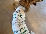 HOMELAND OME�̎ʐ^1