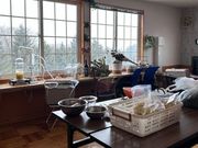 �݂������c�A�[�Y�̎ʐ^2