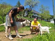 �����ȎR�r�q��̎ʐ^2