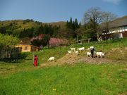 �����ȎR�r�q��̎ʐ^3