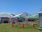 ��̗t���C�`�̎ʐ^4