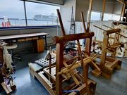 ��������CHICKA�̎ʐ^4